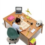 French Law History Kindle Book Presses Universitaires du-0