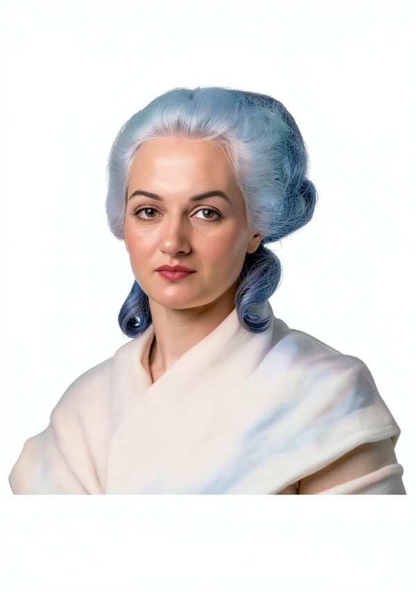 French Law eBook Civil Rights Discrimination Constitutional-0