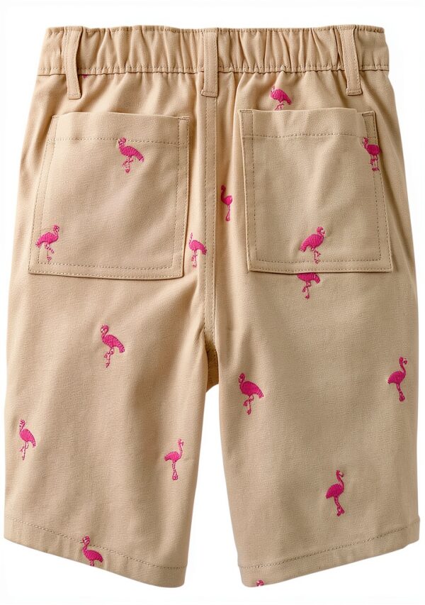 Boys Chino Shorts Gymboree Flamingo Design Cotton Twill-2