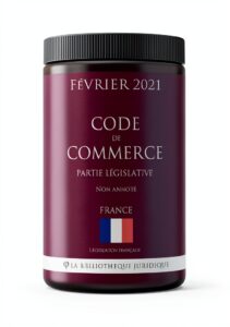 French Law Kindle Book Digital Legal Reference Guide-0