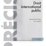 Dalloz French Law Book Digital Edition Legal Reference-0