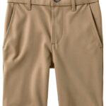 The Childrens Place Boys Chino Shorts Polyester Quick Dry-0