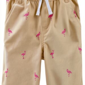 Boys Chino Shorts Gymboree Flamingo Design Cotton Twill-0