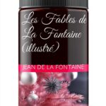 ici livres French Law eBook Civil Rights Constitutional Law-0